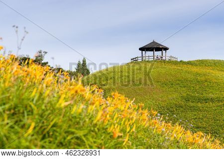 Orange day lily flower field in Taimali Kinchen Mountain in Taitung