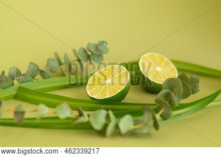Oranges, Lemons And Limes On A Monochromatic Background
