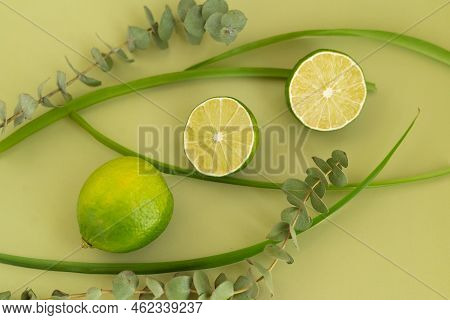 Oranges, lemons and limes on a monochromatic background with green branches. High quality photo
