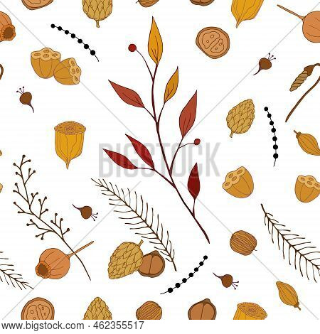 Autumn Berries Seamless Pattern. Hand Drawn Vector Illustration