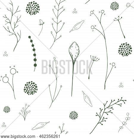 Botanical Pale Green Branches Seamless Pattern Isolated On White Background