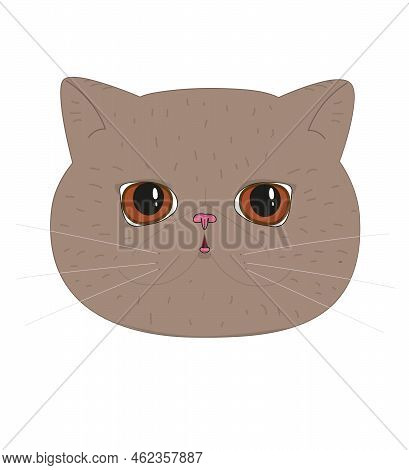 Vector Illustration Of Exotic Cat In Brown Color Isolated On White Background