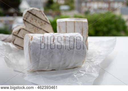 French Cheeses Heartshaped, Squared And Cylindrical Neufchatel Cow Cheese With Mold On White Paper,