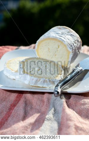 French Cheeses, Cylindrical Neufchatel Cow Cheese With Mold, Neufchâtel-en-bray, Normandy, France