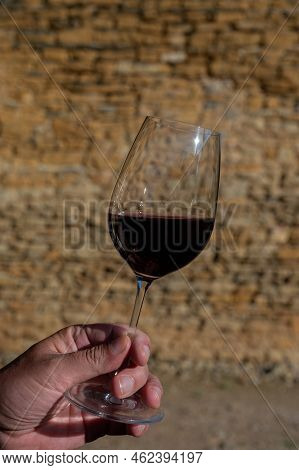 Tasting Of Red Wine By Old Wine Maker In Pierres Dorées Region With Yellow Stone Houses On South Of
