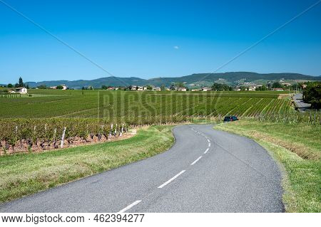 Landscape With Vineyards Near Beaujolais Wine Making Village Val D'oingt, Gateway To Beaujolais Wine