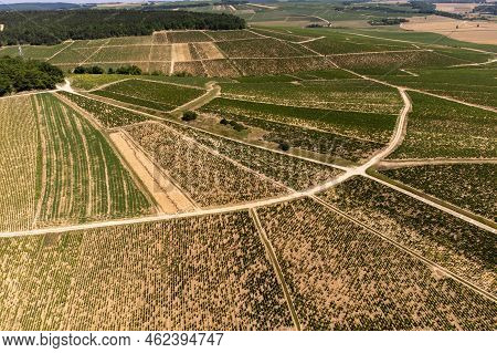 Aerial View On Chablis Grand Cru Appellation Vineyards With Grapes Growing On Limestone And Marl Soi