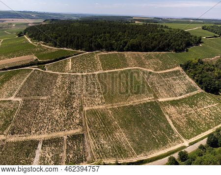Aerial View On Chablis Grand Cru Appellation Vineyards With Grapes Growing On Limestone And Marl Soi