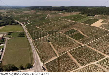 Aerial View On Chablis Grand Cru Appellation Vineyards With Grapes Growing On Limestone And Marl Soi