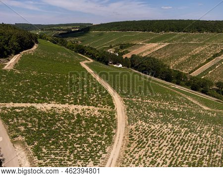 Aerial View On Chablis Grand Cru Appellation Vineyards With Grapes Growing On Limestone And Marl Soi