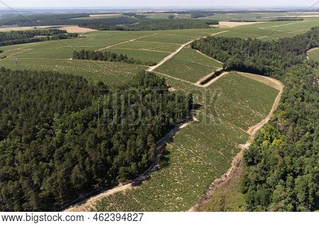 Aerial View On Chablis Grand Cru Appellation Vineyards With Grapes Growing On Limestone And Marl Soi