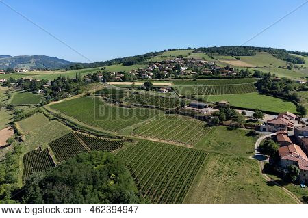 Landscape With Vineyards Near Beaujolais Wine Making Village Val D'oingt, Gateway To Beaujolais Wine
