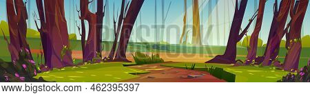 Footpath In Sunlit Forest Cartoon Illustration. Beautiful Old Wood With Ancient Tall Trees, Green Gr