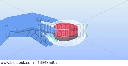 Scientist Hand Holding Cultured Red Raw Fish Meat Made From Animal Cells Artificial Lab Grown Meat P
