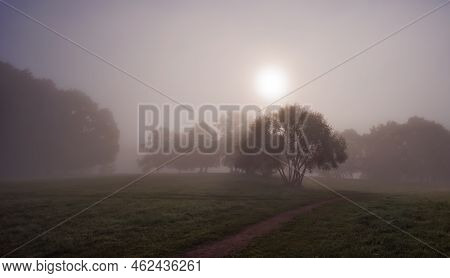 Mystic Fog In The Park, Autumn Landscape With Fog And Light Rays