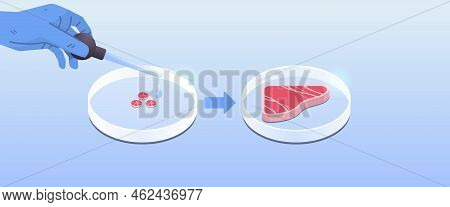 Petri Dish With Beef Steak Cultured Raw Red Meat Made From Animal Cells Artificial Lab Grown Meat Pr