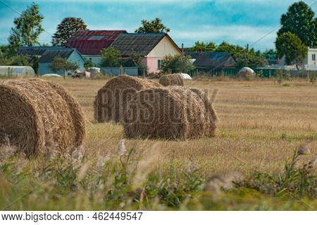 Hay Bales Hay Balls, Haycock Or Haystack On A Farm Field. Straw Bales On Agriculture Field.