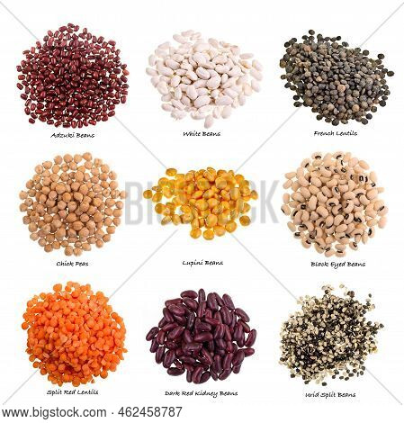 Pulses Are Edible Seeds Of Leguminous Plants Such As Peas, Beans, Lentils, Etc. Image With Names.