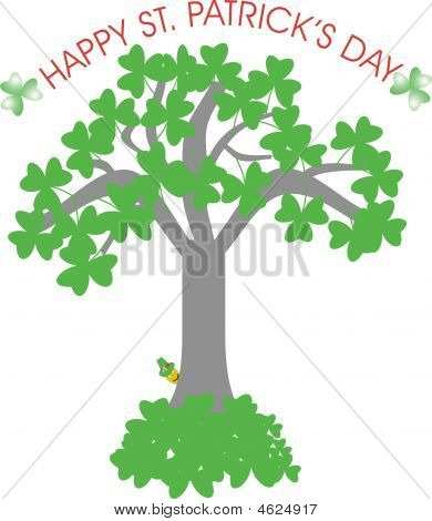Shamrock strom