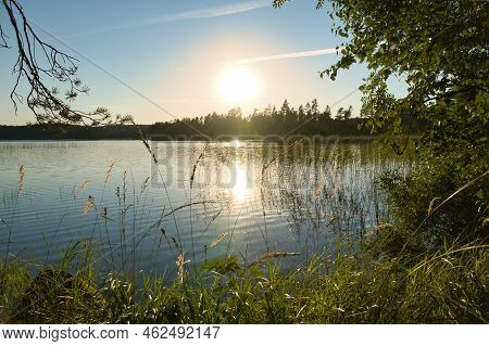 On A Lake In Sweden, With Water Lilies And Reeds. In The Background Forests And Blue Sky. Nature Sho