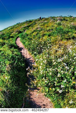 Point Reyes, United States - March 03, 2012 : A Truly Special Place Where The San Andreas Vault Line