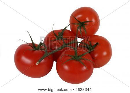 Tomatos ห้ากับ Twig