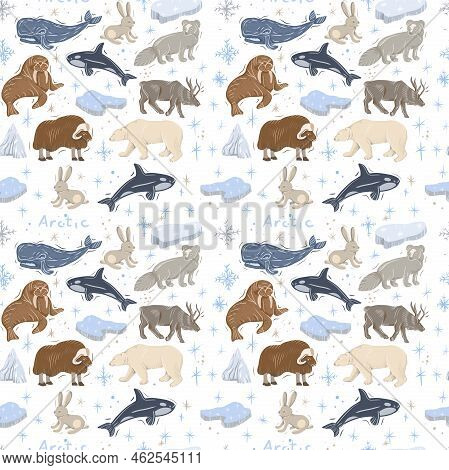 Arctic Animals Nature Wild World Cold North Cute Cartoon Ice Snowflake Polar Bear Muskox Sperm Whale
