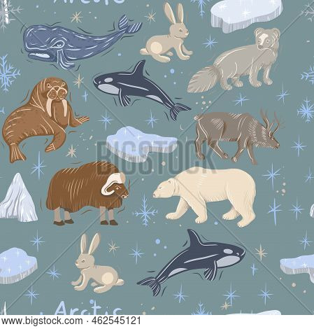 Arctic Animals Nature Wild World Cold North Cute Cartoon Ice Snowflake Polar Bear Muskox Sperm Whale
