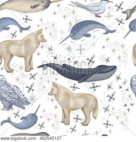 Arctic Animals Nature Wild World Cold North Cute Cartoon Ice Snowflake Polar Bear Muskox Sperm Whale