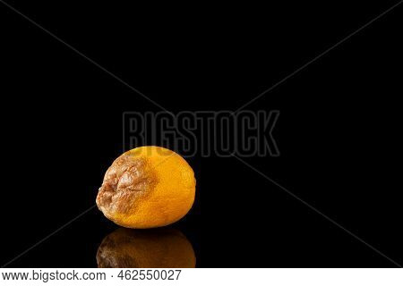 Spoiled, Rotten Lemon On A Black Background. Improper Fruit Storage. Place For Text.
