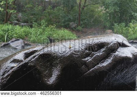 Rain On The River Gorsky Tikich Rocky Banks Near High Granite Rocks. Buksky Canyon, Cherkasy Region