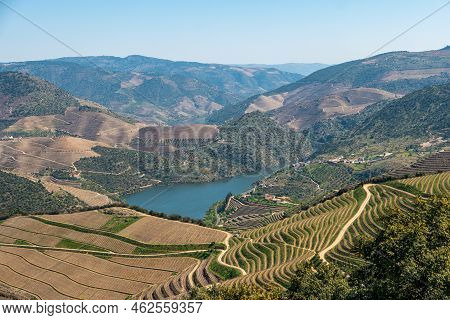 Viewpoint Of Vargelas Allows To See A Vast Landscape On The Douro And Its Man-made Slopes. Douro Reg