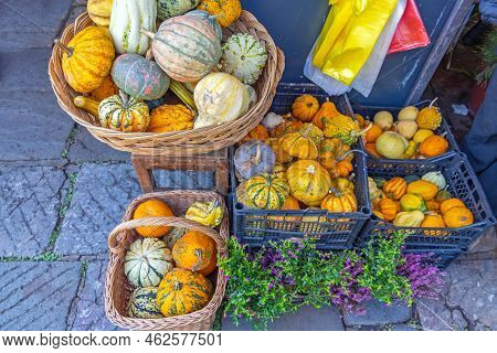 Pumpkins And Gourds In Baskets At Farmers Market Autumn