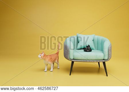Uneducated Cat. The Cat Pooped On The Chair. A Chair With A Poop Next To Which The Outgoing Cat. 3d 