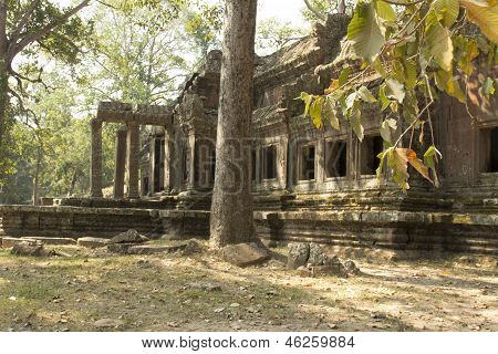 Cambodia.Angkor 扫管笏。