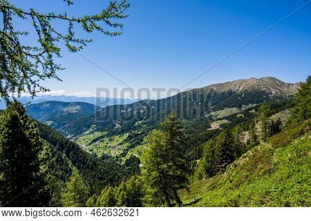 2022 06 11 Lagorai Alpine Valleys In The Woods