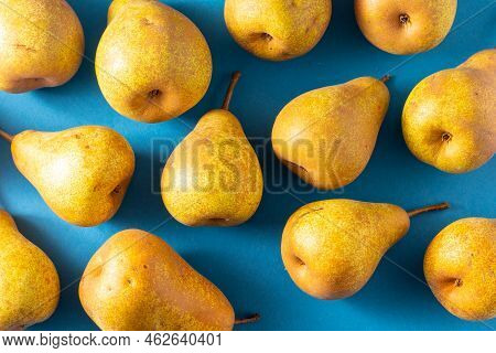 Yellow Pears On Blue Background. Fruit Harvest. Autumn Still Life. Pear Variety Bera Conference. Vit