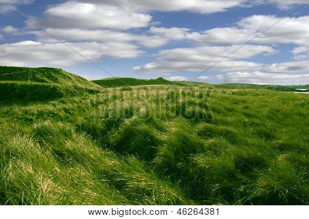 หญ้าสีเขียวบนเที่ยว Ballybunion กอล์ฟ