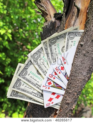 Money tree and playing cards
