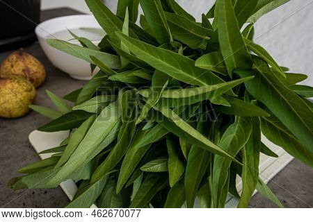 A Bunch Of Fresh Ipomoea Aquatica, Known As Water Spinach Or Kangkung, On The Kitchen Counter Ready 