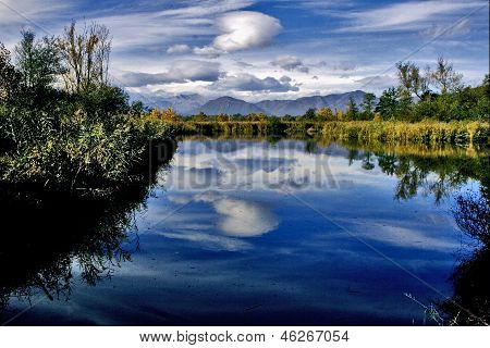 Marsh Moor Marshy