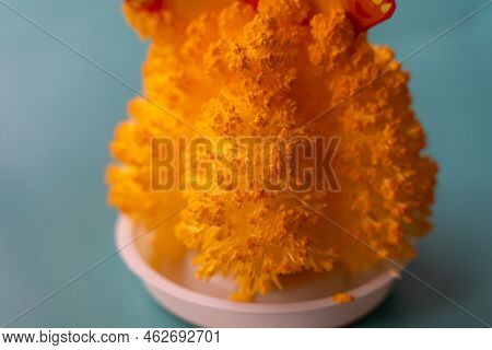 Orange Crystal With Branches Of Carbamide And Polyvinyl Alcohol With Yellow Dye.
