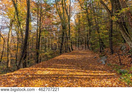 Vibrant Autumn Leaves Covers This Hiking Trail In Lake Minnewaska State Park And Preserve In New Pal
