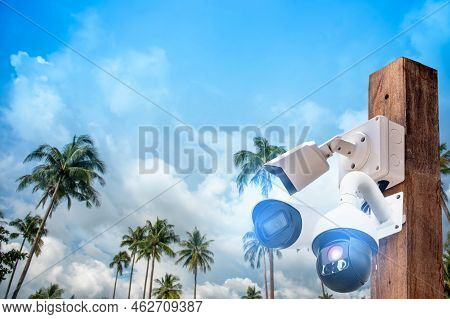 Multi-angle Cctv System On Wooden Poles, Background Blast Cipping Path