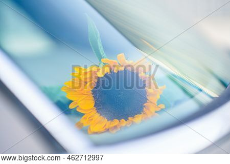 Decoration Of Sunflowers In And On A Wedding Car For Styling And Lovely Details With A Depth Of Fiel