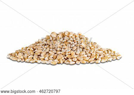 Pile Of Harvested Dried Pearl Barley Seeds Isolated On White Background With Clipping Path.