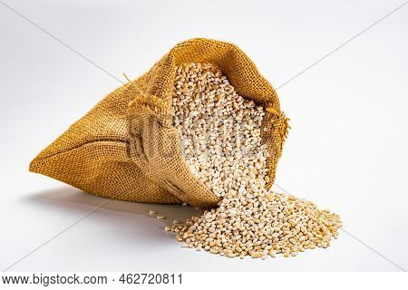 Dried Pearl Barley Seeds Flowing Out Of Falling Gunny Sack On White Background.