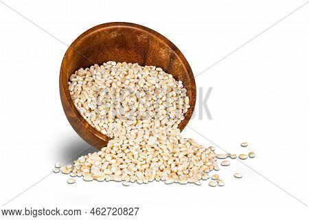 Pile Of Harvested Dried Pearl Barley Seeds In Falling Wooden Bowl And On White Floor Isolated On Whi