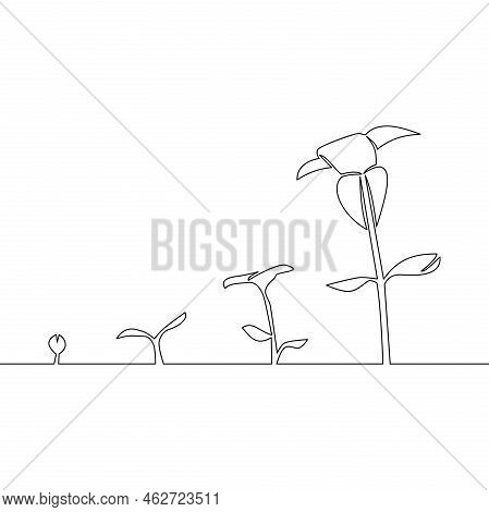 Continuous One Single Line Drawing Phase Of Plant Growing Icon Vector Illustration Concept
