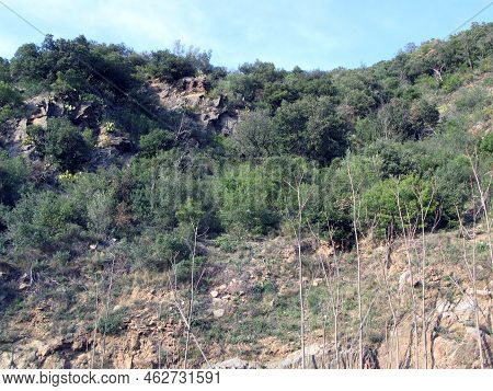 Catalonia. Mountain Slopes Near The Road With Stones, Thorny Bushes And Trees. Spring